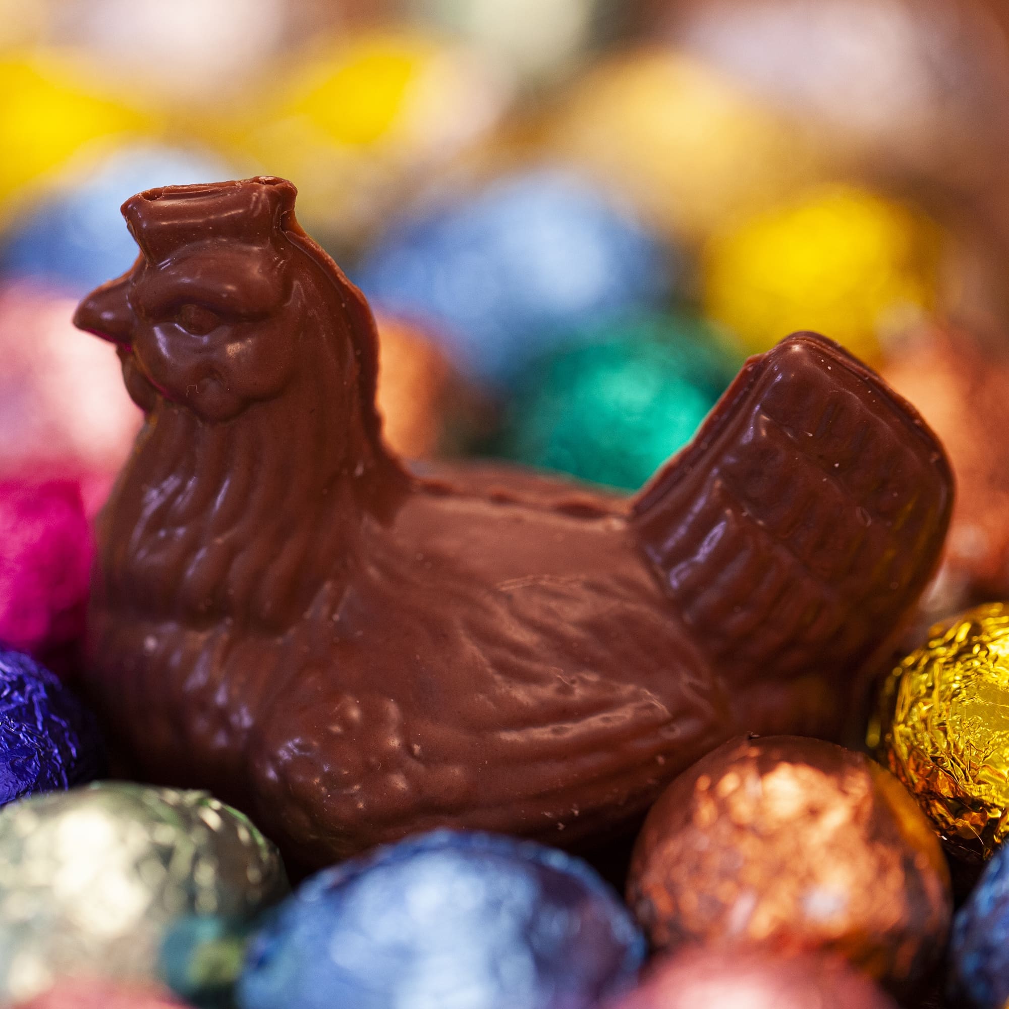 Poule pralinée - Lait