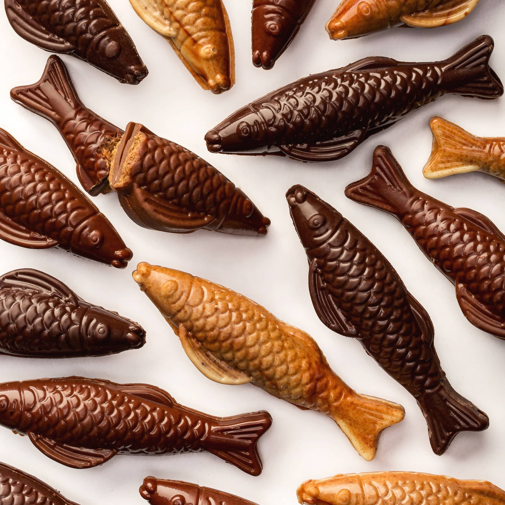 Sachet sardines au praliné