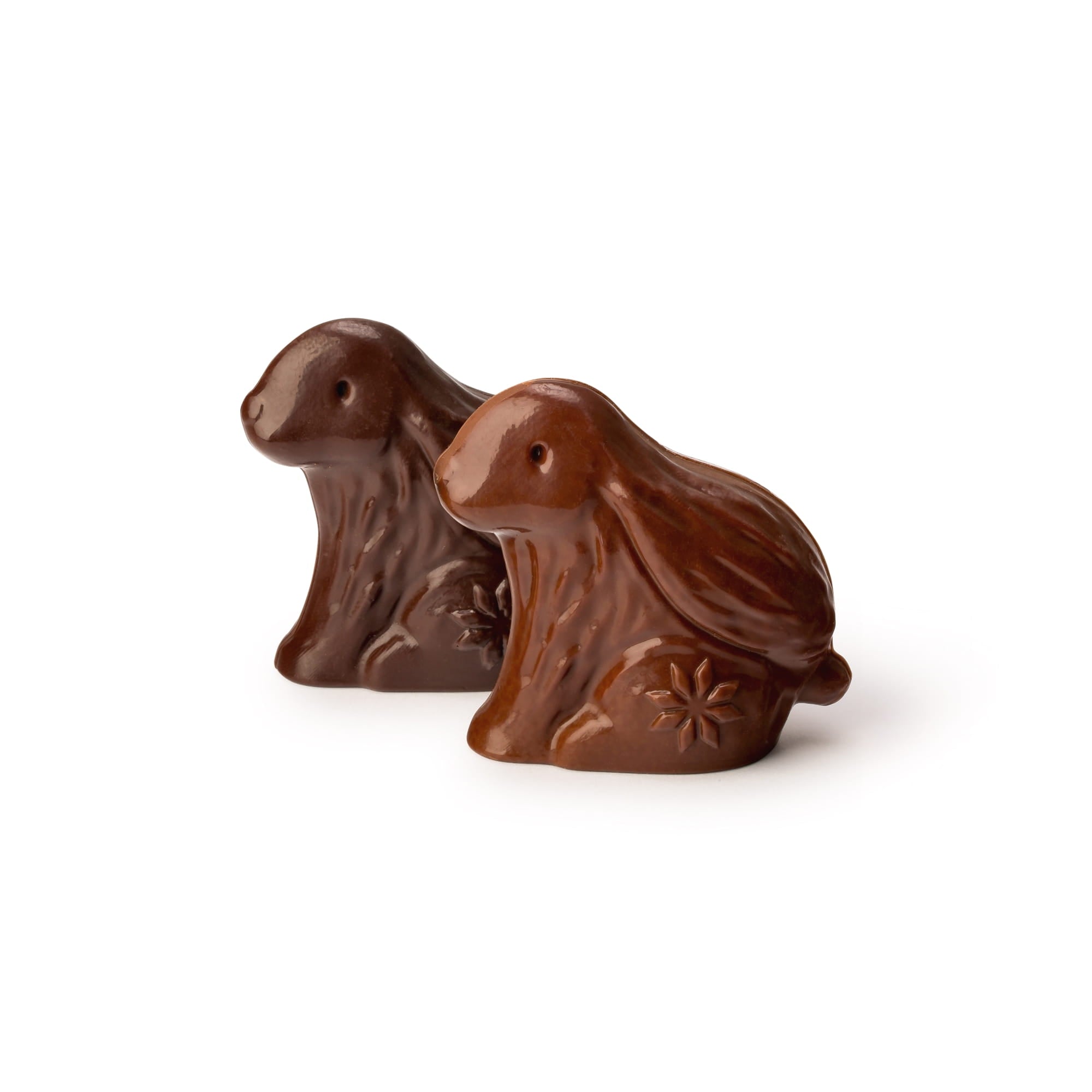 Lapin praliné - Noir